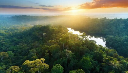 Stunning Amazon Rainforest Landscape at Sunset A Lush Green Paradise Bathed in Warm Golden Light, Showcasing Natures Beauty and Serenity in a Vibrant Tropical Ecosystem