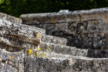 Close-up of weathered stone steps at Jumieges Abbey. Seine-Maritime Departement, Normandy, France