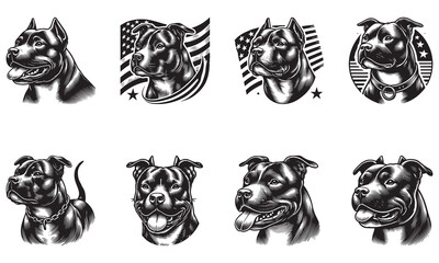 American Pit Bull Terrier dog - isolated vector illustration