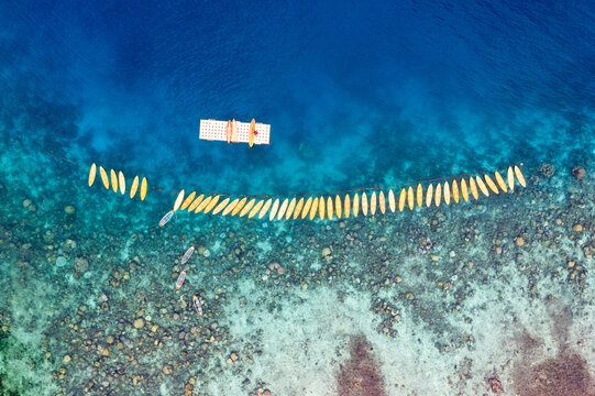 Aerial view of yellow kayaks in a row in the blue sea, Philippines