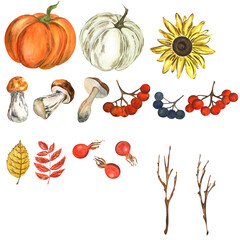Autumn collection on white background. Watercolor. Handmade. Can be used on packaging, stickers, compositions