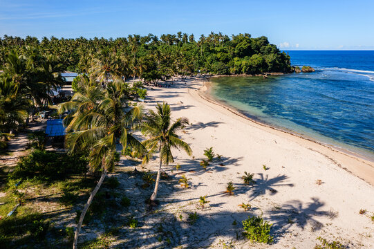 Tropical beach with palm trees, aerial view, Siargao island, Philippines
