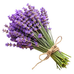bunch of lavender flowers