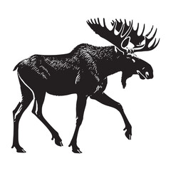 Striking moose silhouette for modern applications - Moose black vector
