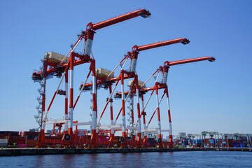 Gantry cranes in cargo port
