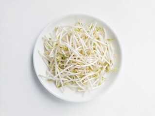 Close-up of bean sprouts in a white plate on a white background. 