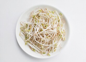 Close-up of bean sprouts in a white plate on a white background. 