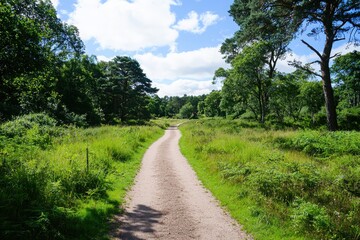 Obraz premium Guided nature meditation tours in a wildlife reserve educational signs conservation focus lush green environment scenic pathway