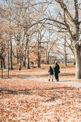 Fototapeta premium 秋の公園を歩く親子の後ろ姿（冬の加曽利貝塚の風景）