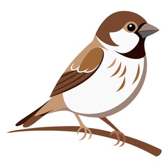 Obraz premium Sparrow