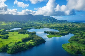 Aerial view of lush coastal wetlands