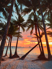 Sunset at sea Boracay island sandy beach resort landscape in Philippines, travel tropical beautiful destinations tranquil Southeast Asia scenery nature summer vacations season