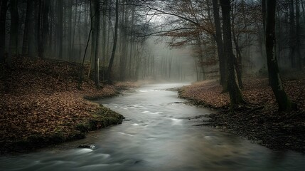 Obraz premium Misty Forest River in Autumn: A Serene Nature Scene