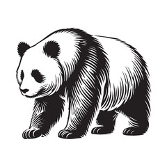 Majestic panda silhouette for versatile artistic projects - Panda black vector
