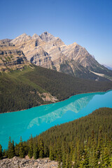 Obraz premium banff national park peyto lake