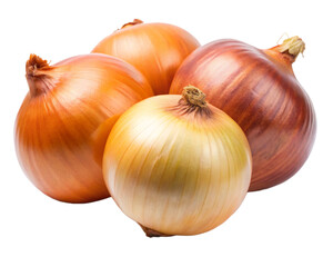 onions on a white background