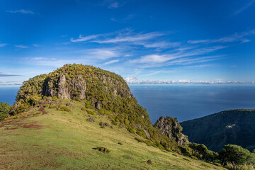 Sunlight Shining Through Mature Laurel tree in Scenic Fanal Forest Landscape, Madeira