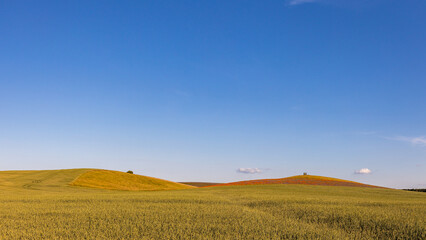 Obraz premium Panorama weite Felder Wisen Sommerwiesen