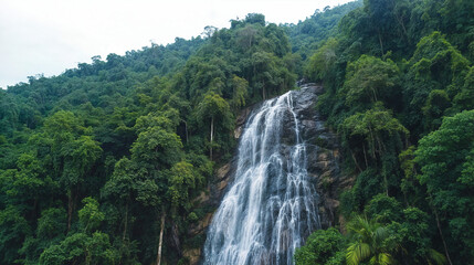 The image features a lush, green forest with a cascading waterfall flowing down a rocky cliff