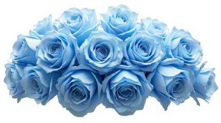 Bouquet of Blue Roses Cut Out Transparent Background PNG.
