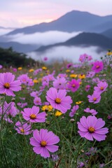 Obraz premium Purple and yellow flowers field during sunrise with a sea of clouds and mountains in the distance