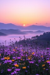 Obraz premium Purple and yellow flowers field during sunrise with a sea of clouds and mountains in the distance