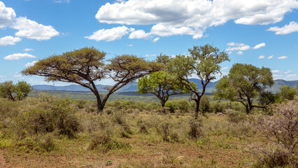 Beautiful landscape in the Manyoni Private Game Reserve in KwaZulu-Natal in South Africa