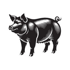 Captivating pig silhouette for versatile design needs - Pig black vector
