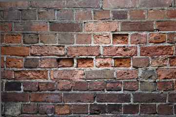 The photo shows a close-up of a brick wall