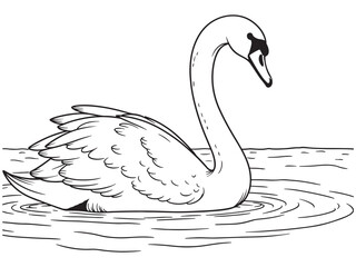 Swans vector design set