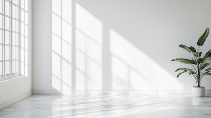 Fototapeta premium Sunlit Minimalist Interior: A Serene White Room with a Bird of Paradise Plant
