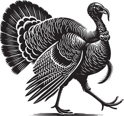 Turkey animal silhouette vector illustration isolated on white background