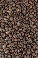 Close-up of roasted coffee beans.