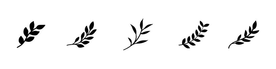 Set of organic minimalist silhouette summer and spring branches with leaves. Simple flower logo design element. Elegant floral twig decoration. Botanical simple. Plant icon set. Vector Graphic. EPS 10