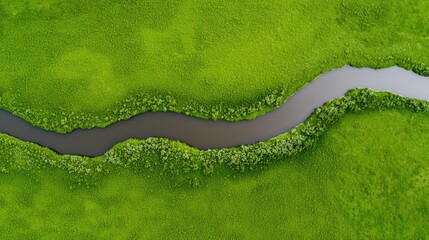 Fototapeta premium Aerial view of a winding river surrounded by lush green vegetation, showcasing nature's beauty and tranquility.