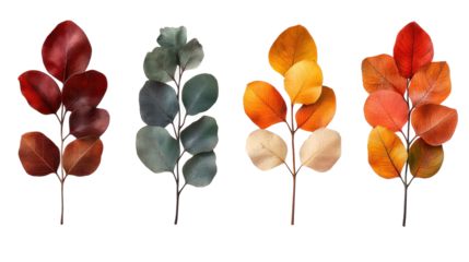 Colorful autumn leaves arranged beautifully. transparent background