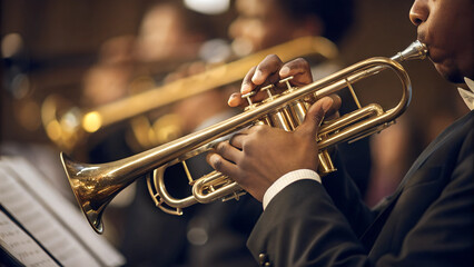 Obraz premium jazz musician plays the trumpet