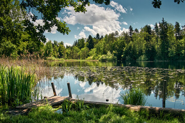 Idyllischer Waldsee in dem sich der blaue Himmel mit malerischen Wolken spiegelt.