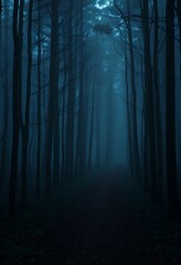 Fototapeta premium Dark Blue Forest Path Mysterious Foggy Trees Night Atmosphere