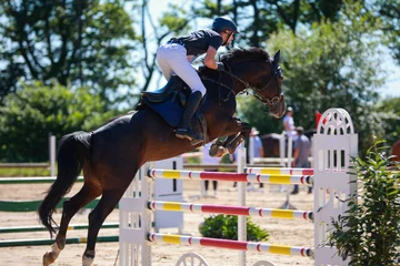  Horse jumping horse with rider jumping over an obstacle. © RD-Fotografie