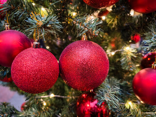 Shimmering red ornaments hang on a festive Christmas tree adorned with glowing lights and vibrant...