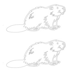 Simple outline drawing of a North American beaver with a distinctive tail and detailed fur, perfect for coloring and educational projects