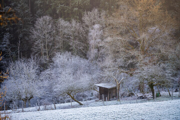 Ambiance hivernale dans le Parc Naturel Régional des Ballons des Vosges, Kaysersberg vignoble, CEA, Alsace, Grand Est