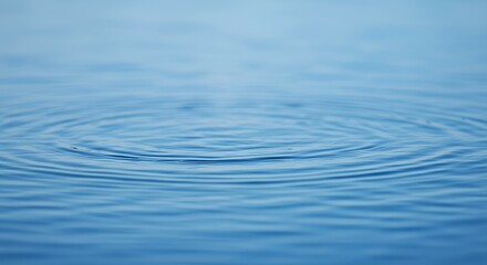 Fototapeta premium ripples in water