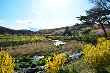 那須白河フォレストスプリングス花野華（福島県）