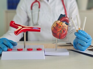 Doctor demonstrating the impact of smoking on heart and blood vessels
