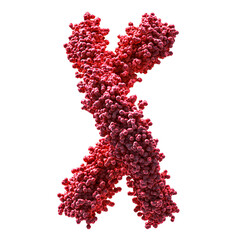 monoclonal antibody in a twisting y shape in red color isolated on transparent background
