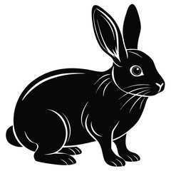 black and white rabbit