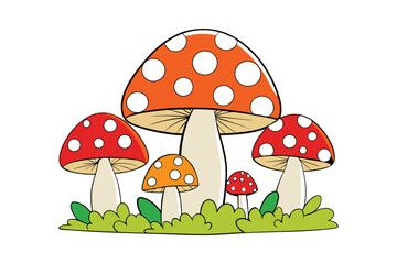 mushrooms in the grass