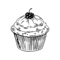 fluffy cupcake with a blueberry on top
